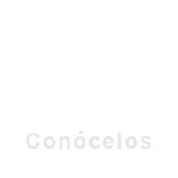 Conócelos